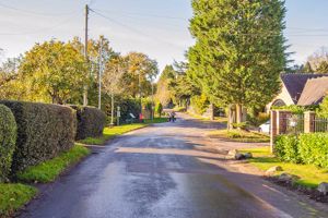 Photo 50- click for photo gallery